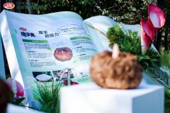 还通过正在魔芋凝胶程度及切割工艺上“毫米级